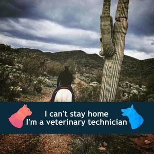 Meet your Posher, Katrina